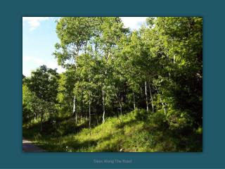 Aspen_Hills_-_873