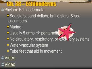 Ch. 38 – Echinoderms
