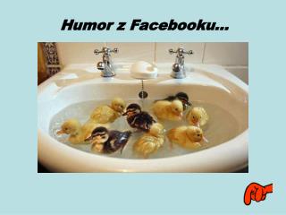 Humor z Facebooku…
