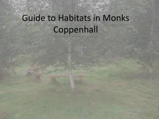 Guide to Habitats in Monks C oppenhall