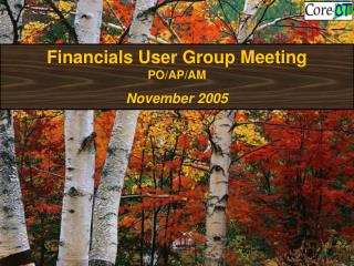 Financials User Group Meeting PO/AP/AM November 2005