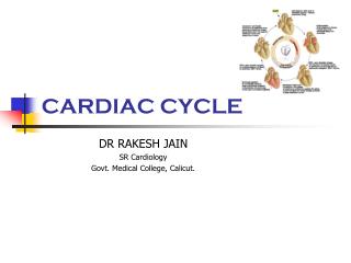 CARDIAC CYCLE