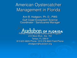 American Oystercatcher Management in Florida