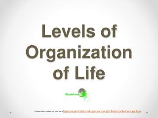 Levels of Organization of Life