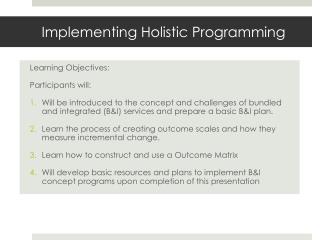 Implementing Holistic Programming