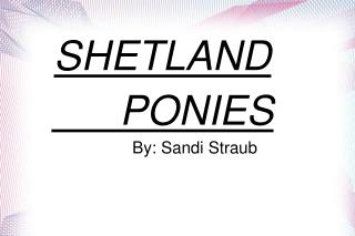 SHETLAND PONIES By: Sandi Straub