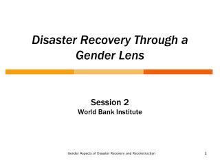 Disaster Recovery Through a Gender Lens