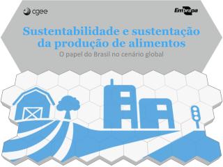 Sustentabilidade e sustentação da produção de alimentos O papel do Brasil no cenário global