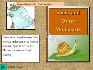 Snails and Other Minibeasts
