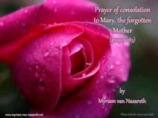 Prayer of consolation to Mary, the forgotten Mother ( prayer 283 )