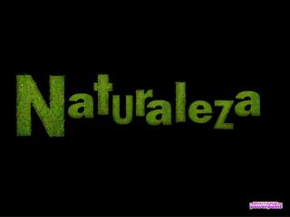 LA VIDA ES UNA OBRA DE TEATRO QUE NO PERMITE ENSAYOS….. POR ESO, CANTA, RIE, BAILA,