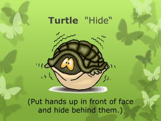 Turtle &quot;Hide“