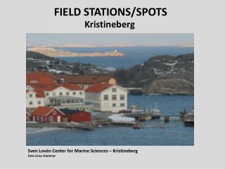 FIELD STATIONS/SPOTS