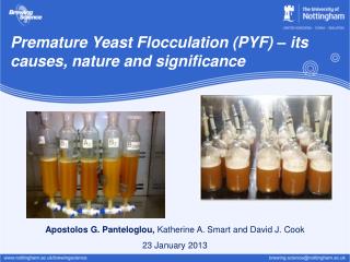 Premature Yeast Flocculation (PYF) – its causes, nature and significance