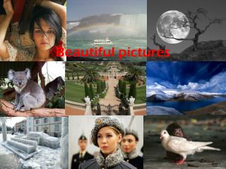 Beautiful pictures
