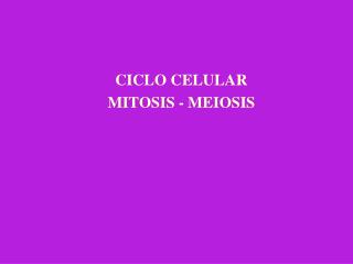 CICLO CELULAR MITOSIS - MEIOSIS