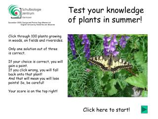 Click through 100 plants growing in woods, on fields and riversides.