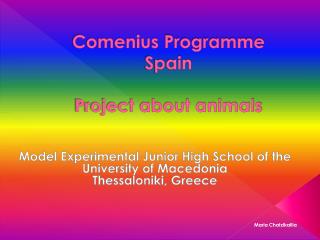 Comenius Programme Spain Project about animals