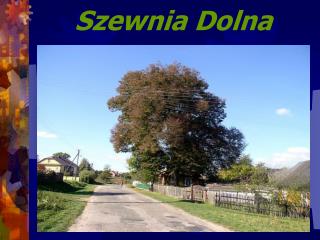 Szewnia Dolna