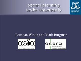 Spatial planning under uncertainty