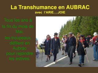 La Transhumance en AUBRAC avec l’ARIE….JOIE