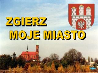 ZGIERZ MOJE MIASTO