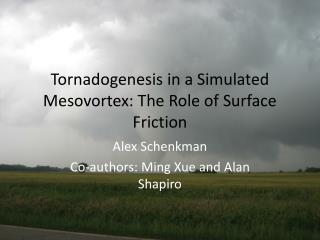 Tornadogenesis in a Simulated Mesovortex : The Role of Surface Friction