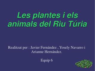 Les plantes i els animals del Riu Túria