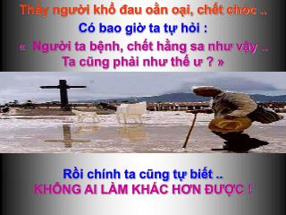 Thấy người khổ đau oằn oại, chết chóc .. Có bao giờ ta tự hỏi :