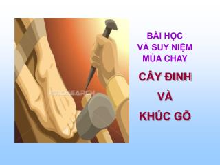 BÀI HỌC VÀ SUY NIỆM MÙA CHAY CÂY ĐINH VÀ KHÚC GỖ