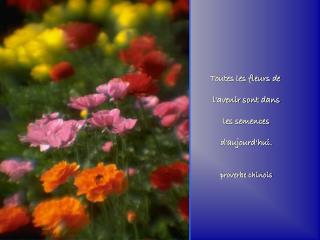 Toutes les fleurs de l'avenir sont dans les semences d'aujourd'hui. proverbe chinois