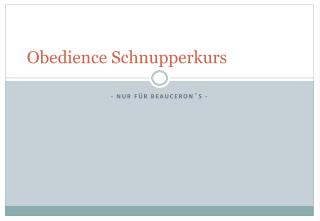 Obedience Schnupperkurs