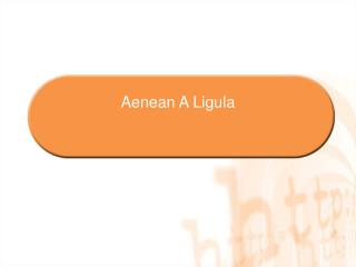 Aenean A Ligula