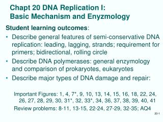 Chapt 20 DNA Replication I: Basic Mechanism and Enyzmology