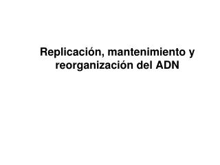 Replicación, mantenimiento y reorganización del ADN