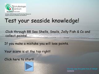 Test your seaside knowledge!