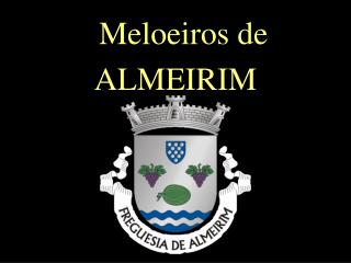 Meloeiros de ALMEIRIM