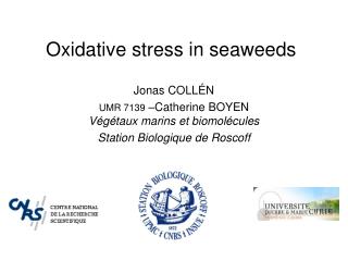 Oxidative stress in seaweeds