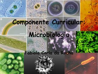 Componente Curricular: Microbiologia