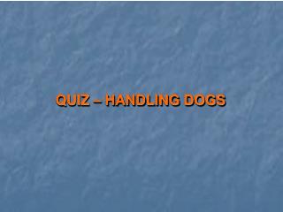 QUIZ – HANDLING DOGS