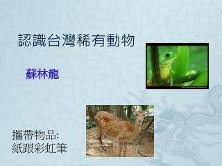 認識台灣 稀有動物