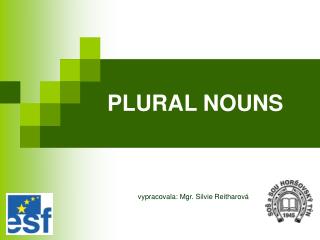 PLURAL NOUNS