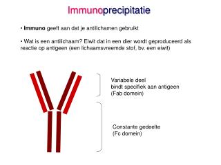 Immuno precipitatie