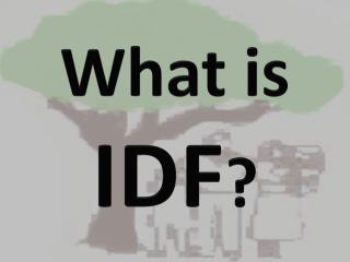 What is IDF ?