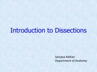 Introduction to Dissections