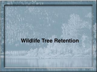 Wildlife Tree Retention