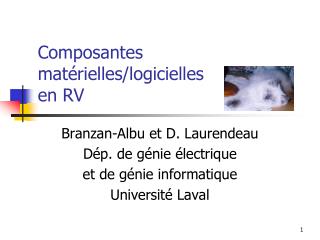 Composantes matérielles/logicielles en RV