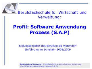 Berufsfachschule für Wirtschaft und Verwaltung: Profil: Software Anwendung Prozess (S.A.P)