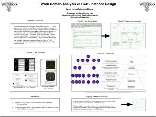 Work Domain Analysis of TCAS Interface Design