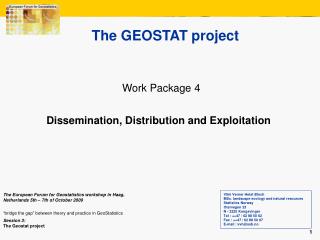 The GEOSTAT project